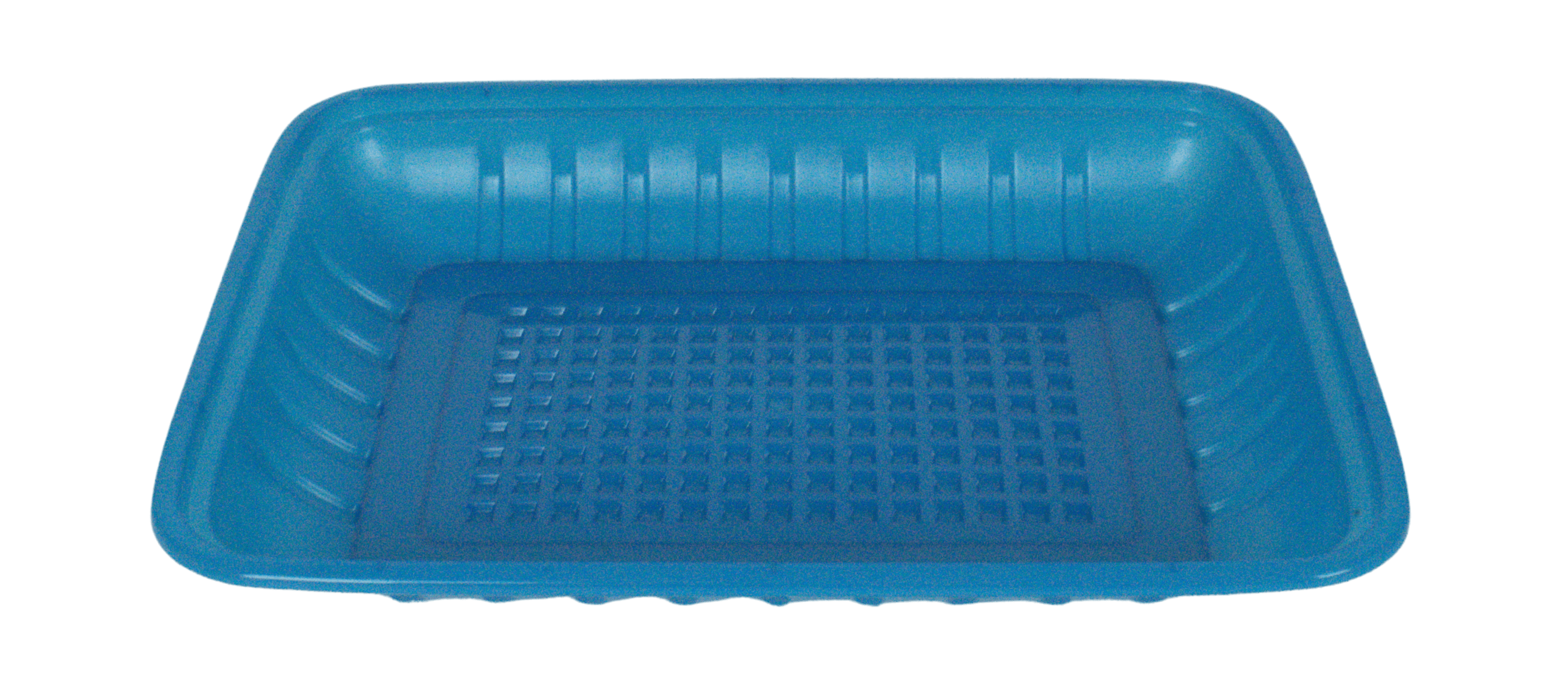 Blue tray short