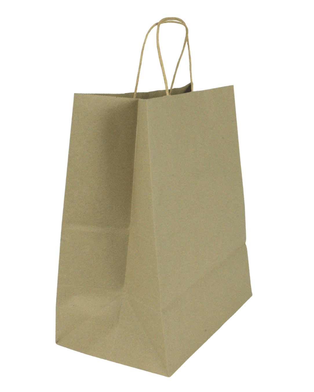 Kraft rope paper bag - side view 3